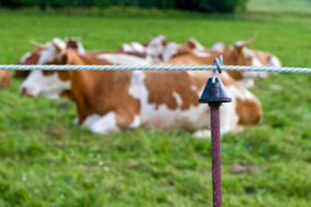Agrarwelt - Landwirtschaft